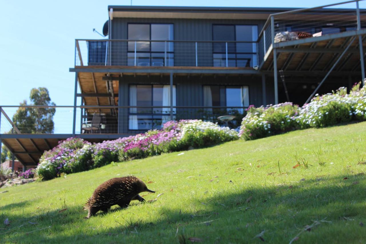 Storm Bay B&B White Beach Екстер'єр фото